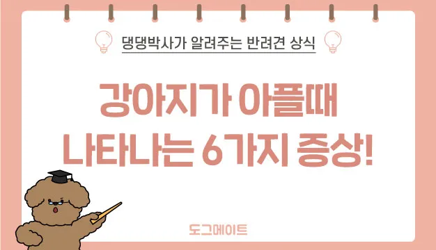 강아지 아플 때 증상 10가지 주의해야 할 건강 신호_1