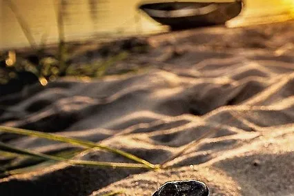 알라딘 뮤지컬 부산