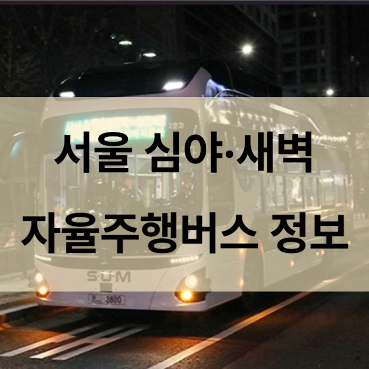서울심야새벽자율주행버스