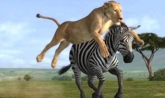 초원에서-사자가-뛰어올라-얼룩말을-공격하는-장면