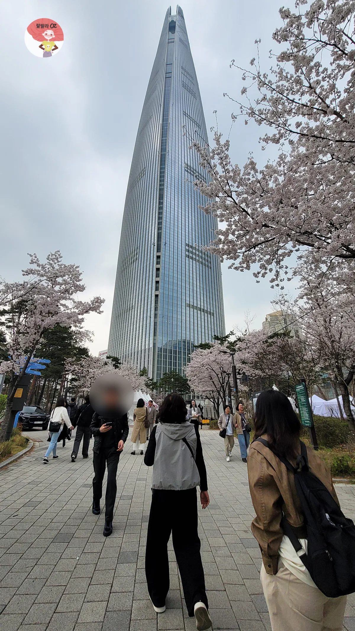 Lotte World Tower surrounded by cherry blossoms.
