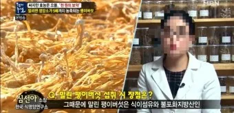 팽이버섯 효능_13