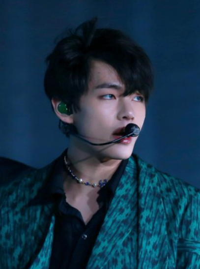 BTS 뷔 스토킹 범인 검거