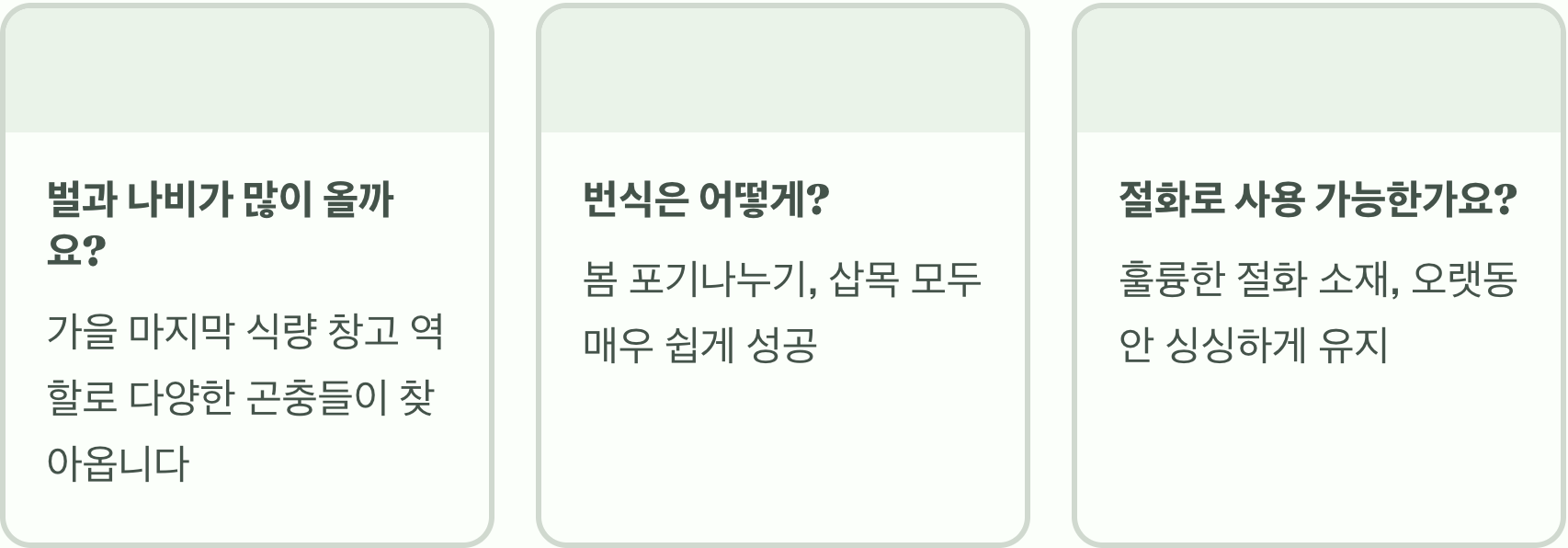 가을 정원의 보석, 큰꿩의비름 키우기 A to Z