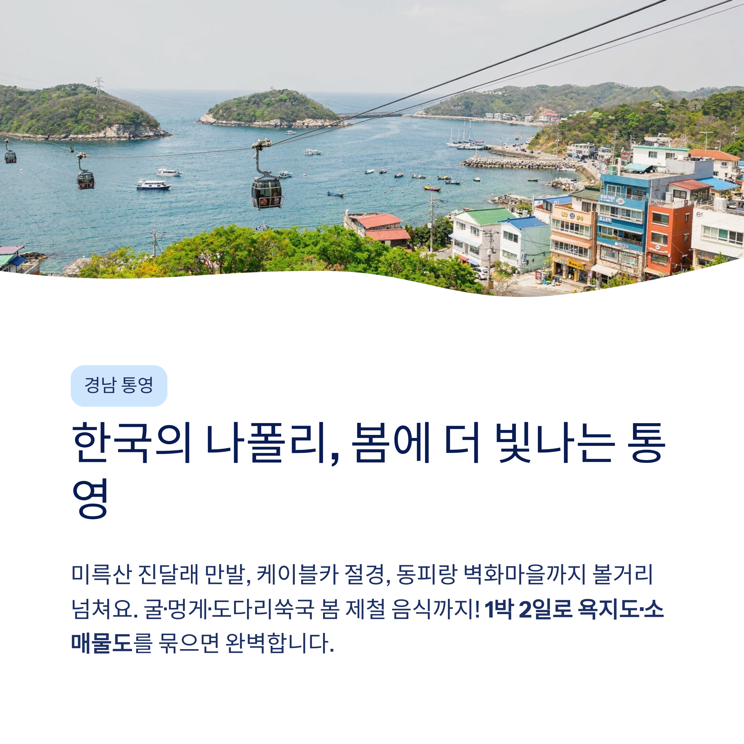 봄 국내 여행지 추천 – 40·50대가 진짜 좋아하는 가볼만한곳 총정리