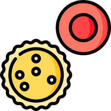 백혈구 정상수치 