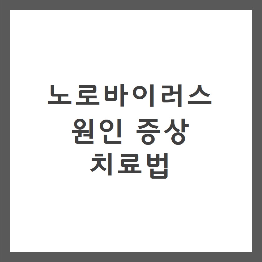 노로바이러스 원인 증상 치료법