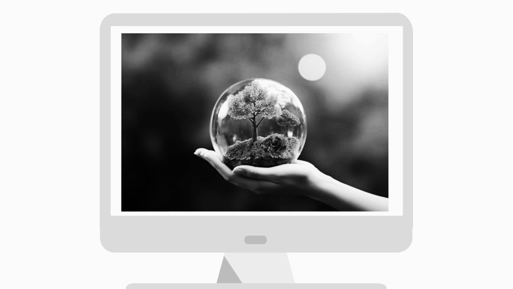 운전면허 사본 발급