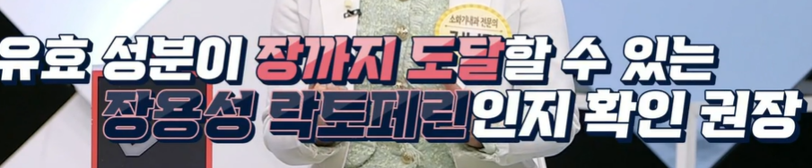 락토페린 복용법