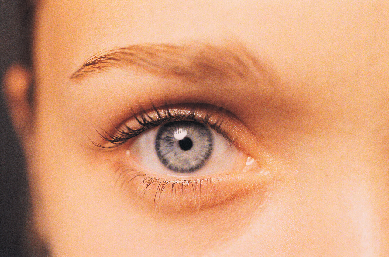 눈에 날파리 현상 관련 사진 7