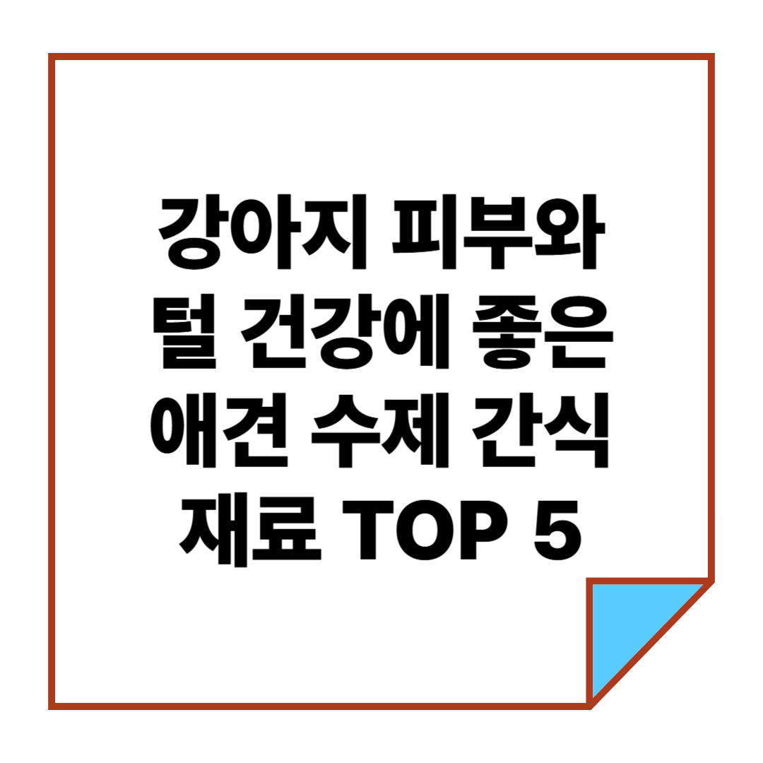 강아지 피부와 털 건강에 좋은 애견 수제 간식 재료 TOP 5