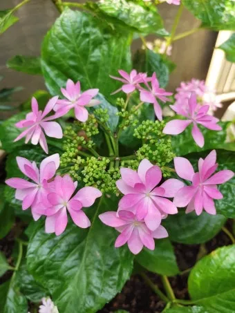 좋은글과 좋은음악이 있는곳_10