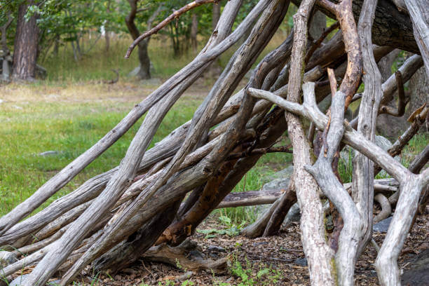 한 명만을 위한 초소형 ‘코쿤 셸터’ 디자인 아이디어