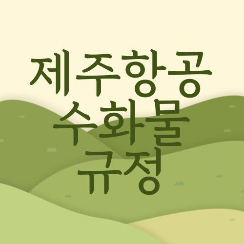 제주항공 수화물 규정