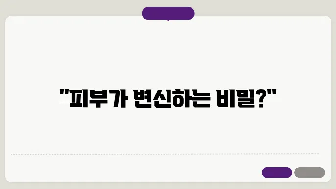 피부 개선 효과 관련 이미지