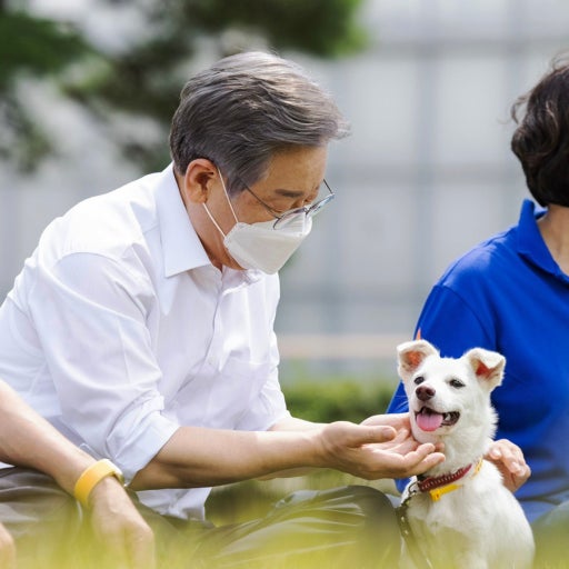 이재명 반려동물 공약 발표｜불법 번식장 규제·위장 보호소 제한 핵심 정리