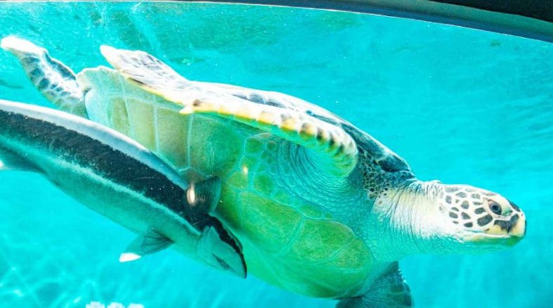 울진 가볼만한곳 베스트10