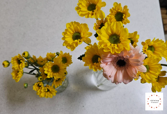 꽃님이-제철꽃 10송이 미니생화다발-국화와 거베라-꽃병 2개