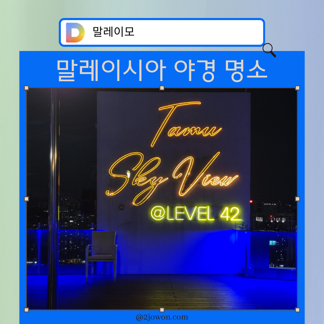 스카이뷰