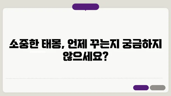 태몽꾸는시기