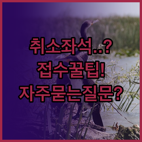 한능검 취소좌석 접수 일정, 방법 그..