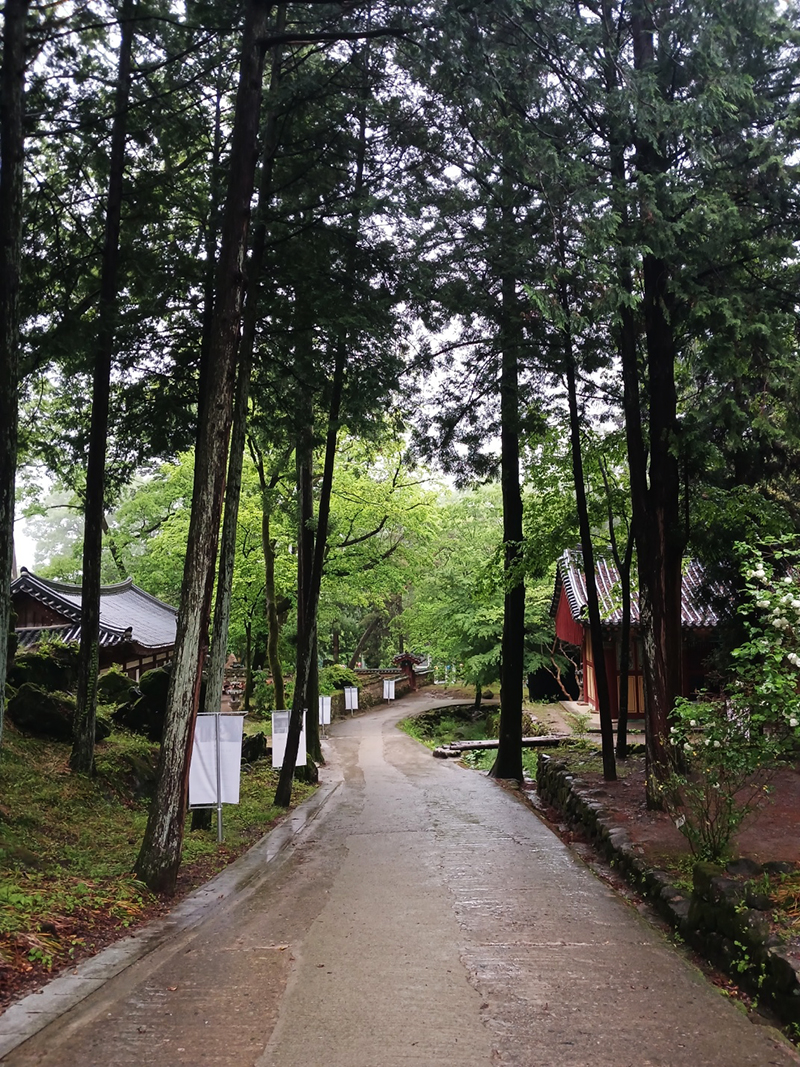 경남 쌍계사 템플스테이 신청 방법