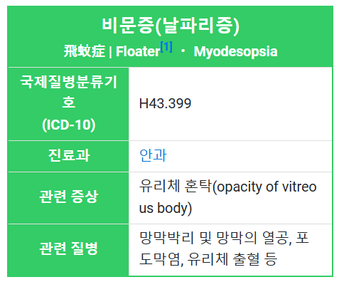 나무위키 비문증