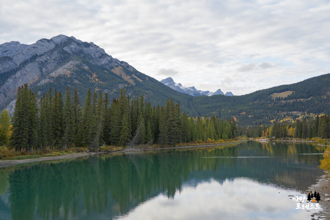 밴프 공원 에메랄드 강