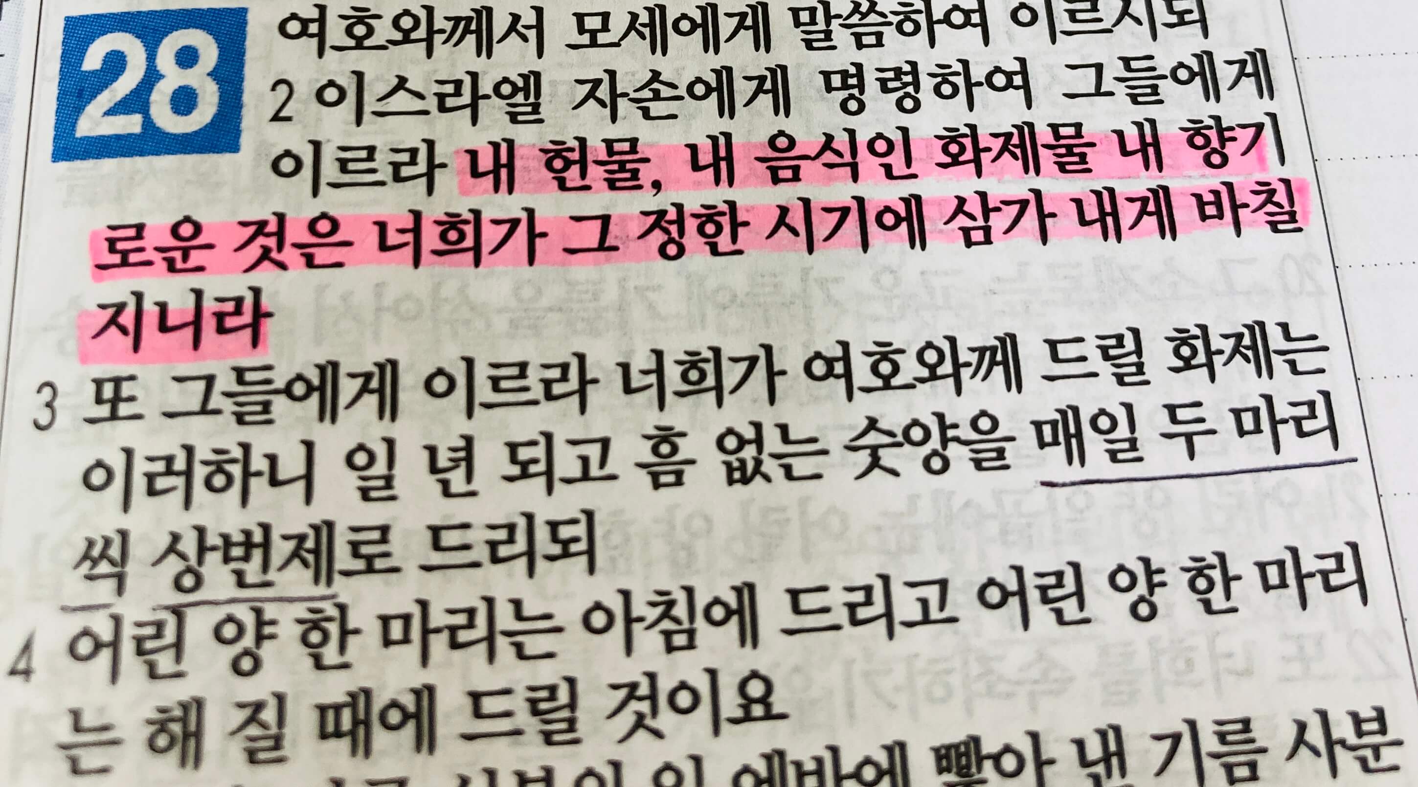 상번제&#44; 안식일&#44; 초하루&#44; 내 헌물을 정한 시기에 내게 바치라는 말씀의 의미