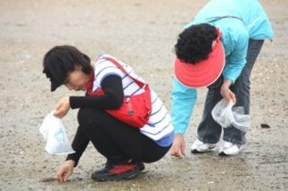 갯벌에서-비닐봉지에-소라를-줍고있는-두명의-여인