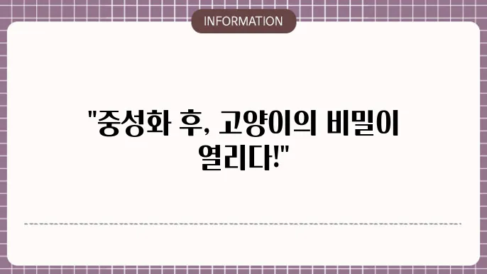 고양이 중성화 수술 후 관리