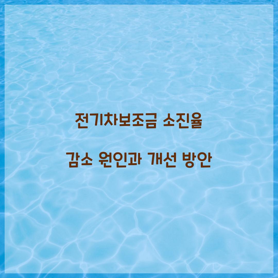 전기차보조금 소진율