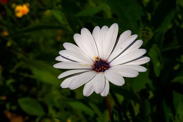 디모데전서 2장 5절 해석 - 하나님은 한 분이시요 하나님과 사람 사이에 중보자도 한 분이시니 곧 사람이신 그리스도 예수라_4