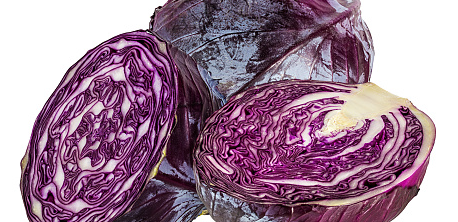 빨간 양배추 효능2