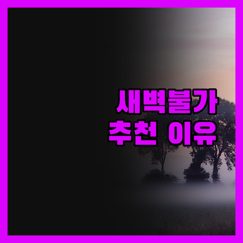 호텔 트란짓 새벽 체크인 불가? 그럼
