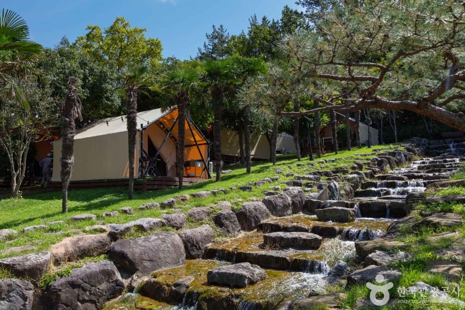 장흥 하늘빛수목원