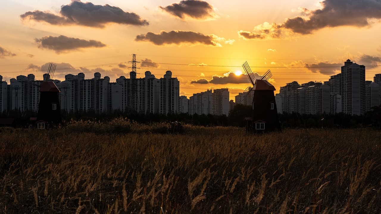 도시 한가운데의 생태 허브, 인공습지와 생물다양성의 연결고리에 대한 사진