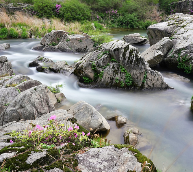 점봉산 자연경관 사진