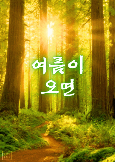 여름 인사말 시 이미지 - 숲속 햇살과 함께하는 계절감 좋은글