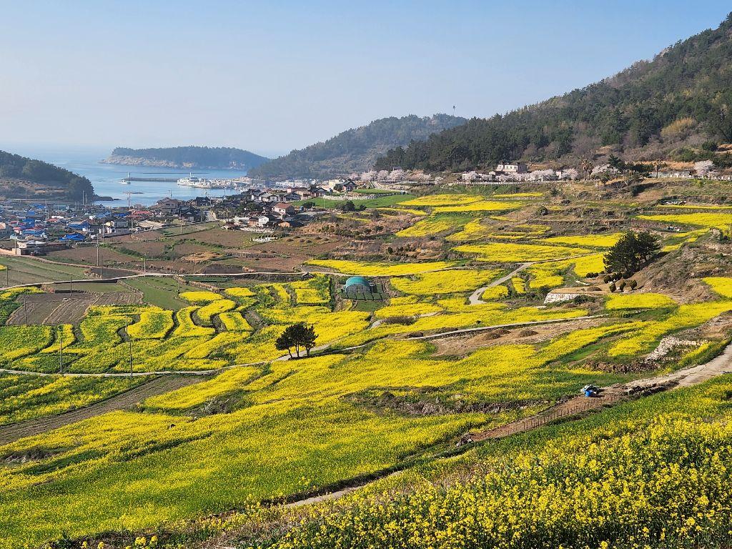 완도 청산도 여행