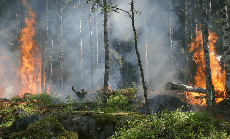 화재예방스티커 정말 효과 있나요?