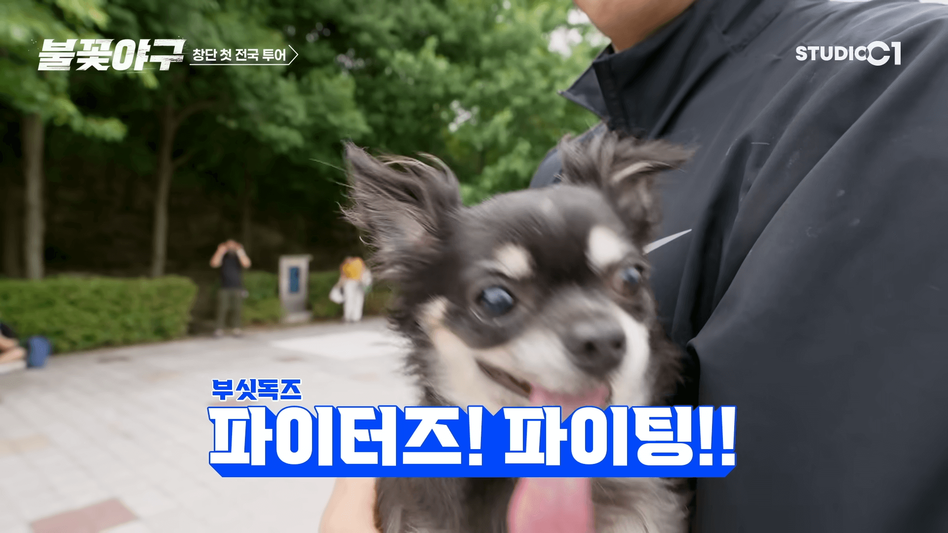 불꽃야구 생중계