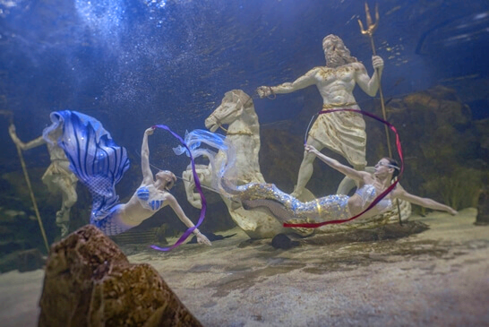 대전엑스포아쿠아리움-대전-주변-가볼만한곳-추천