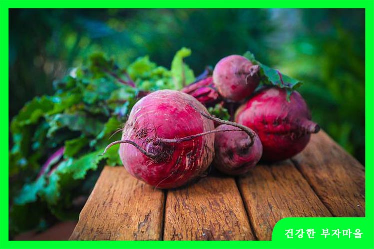 칼륨이 많은 음식 - 비트