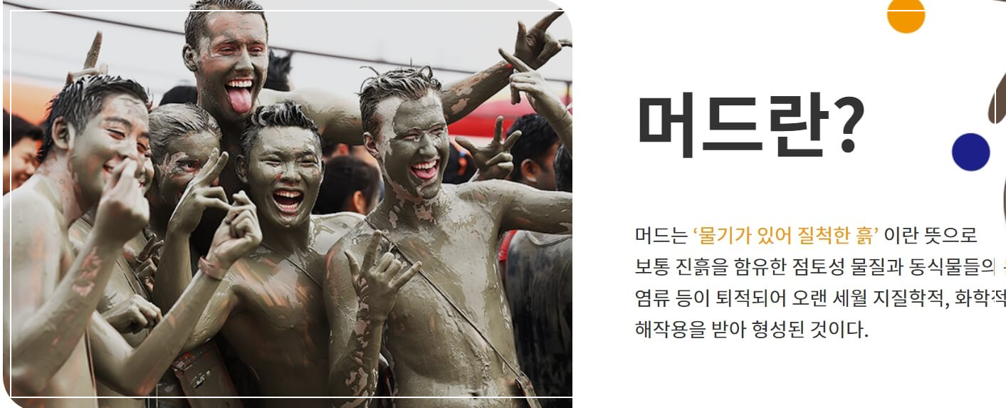 보령 머드축제