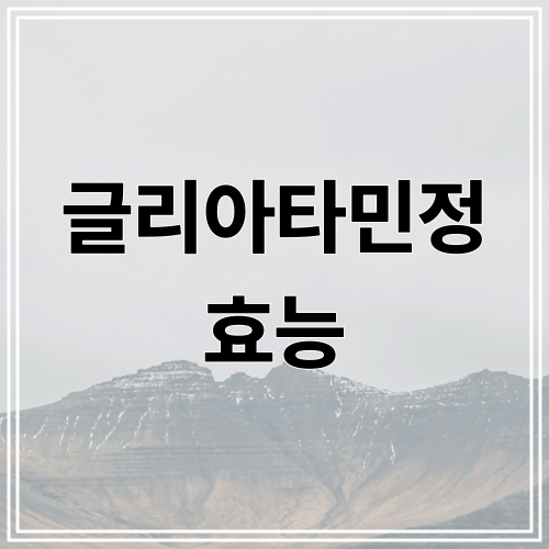 글리아타민정 효능