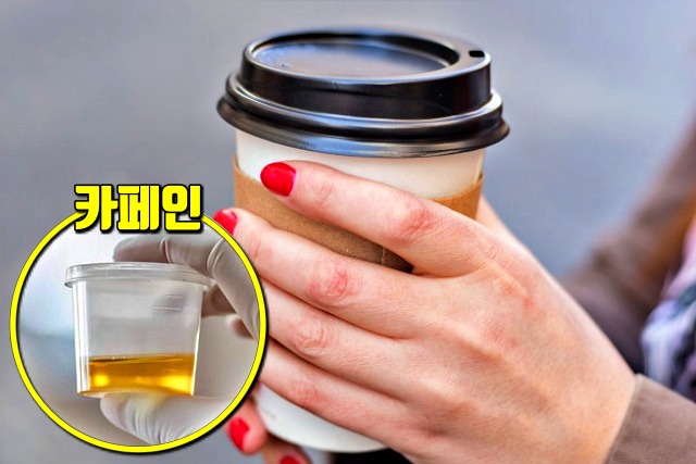 소변에서 냄새가 나는 이유 커피 많이 마심, 건강 팁줌