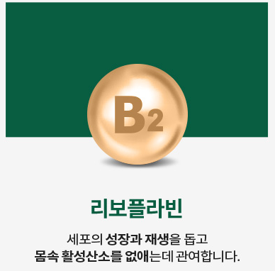 우루사성분-리보플라빈