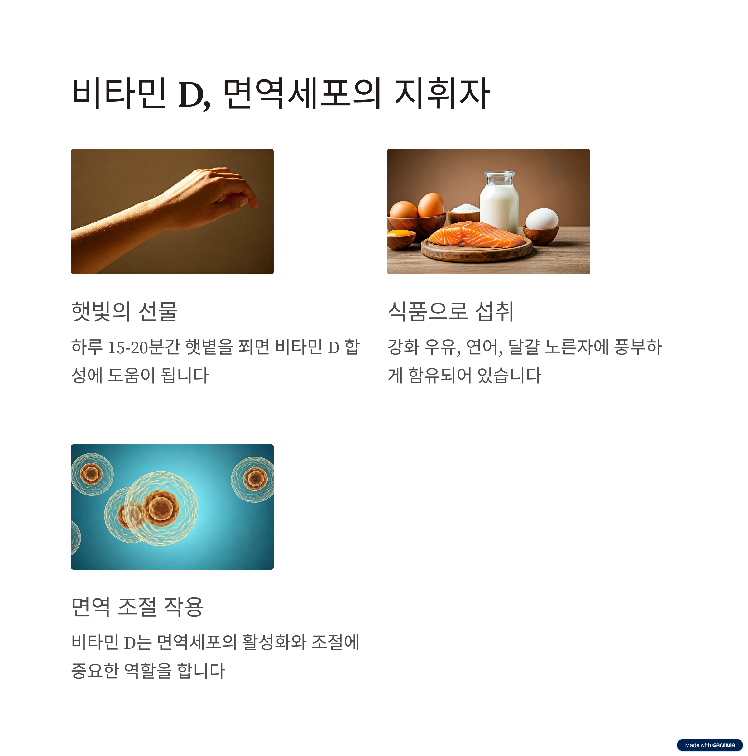 면역세포 지휘자 비타민D