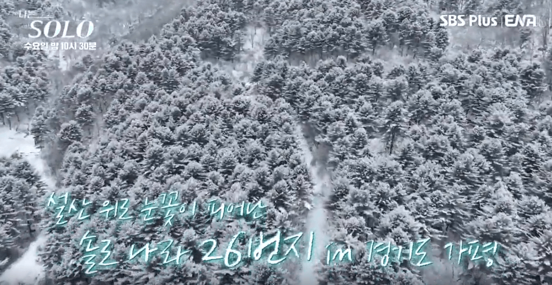 나는 솔로 26기 직업 나이 정리